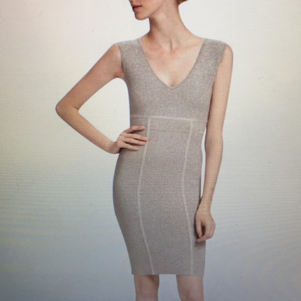 BCBG Bodycon Ribel Dress